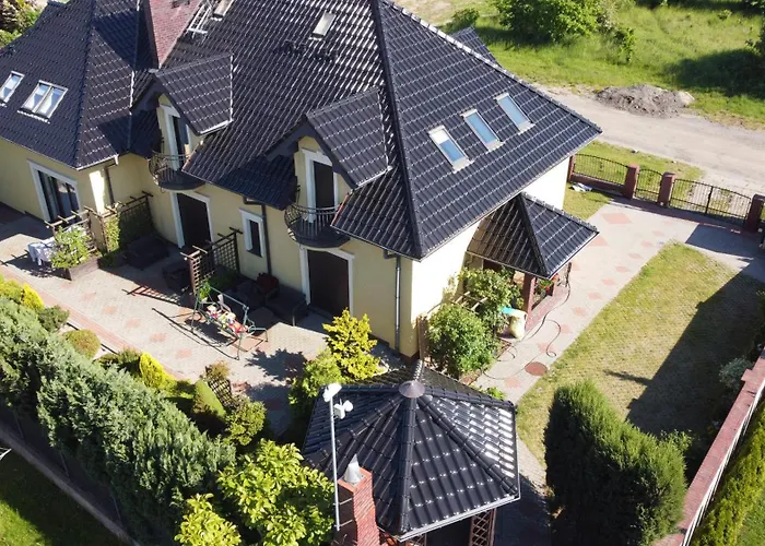 Biala Mewa W Rewalu Rewal