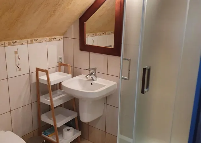 Biala Mewa W Rewalu Rewal