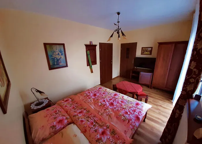 Biala Mewa W Rewalu Rewal