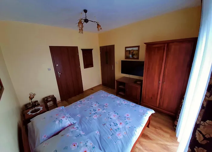 Biala Mewa W Rewalu Rewal